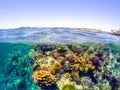 Underwater and surface split view in the tropics sea Royalty Free Stock Photo