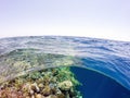 Underwater and surface split view in the tropics sea Royalty Free Stock Photo