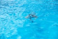 Underwater teen boy in the swimming pool with goggles in sunny day. Children Summer Fun. Kids water sport activity on Royalty Free Stock Photo