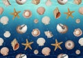 Underwater-themed design featuring an assortment of seashells, Royalty Free Stock Photo