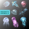 Underwater Transparent Icon Set