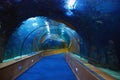 Underwater tunnel in Oceanografic, Valencia Spain Royalty Free Stock Photo