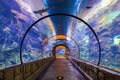 Underwater tunnel in the Shark Reef Aquarium Royalty Free Stock Photo