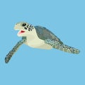 Underwater turtle vector icon on a blue background. Ocean turtle illustration isolated on blue. Exotic animal realistic style Royalty Free Stock Photo