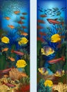 Underwater vertical banners with algae and tropical fish, vector