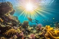 Underwater view of a beautiful coral reef with a man swimming underwater