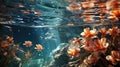 Underwater view of flowers and rocks at the bottom of the river