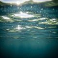 Underwater view capturing sunlight filtering through rippled water surface, creating Royalty Free Stock Photo