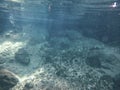 Underwater view of Cenotes Turtle House Tulum in Yucatan, Mexico