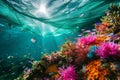 An Underwater View of a Colorful Coral Reef, Underwater view of a colorful coral reef teeming with life, disrupted by a fishing Royalty Free Stock Photo
