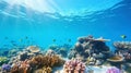 Underwater view of a colorful sea coral reef with fishes. Ocean ecosystem. Generative AI Royalty Free Stock Photo