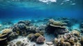an underwater view of a coral reef with lots of corals