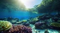 an underwater view of a coral reef with lots of fish