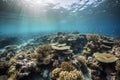 underwater view of coral reef, with schools of fish swimming among the corals Royalty Free Stock Photo