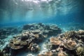 underwater view of coral reef, with schools of fish swimming among the corals