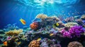 Underwater view of coral reef with tropical fish and corals Royalty Free Stock Photo