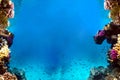 Underwater view of the coral reef and Tropical Fish Royalty Free Stock Photo