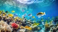 Underwater view of coral reef and tropical fish. Underwater world Royalty Free Stock Photo