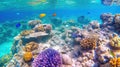 Underwater view of the coral reef, Tropical watersne life. Generative AI Royalty Free Stock Photo