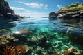 Underwater view of coral reef