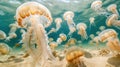 Underwater view featuring a large group of jellyfish gracefully floating with their tentacles extended, creating a mesmerizing Royalty Free Stock Photo
