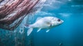 Underwater view with a fish and fishing net on a background. Royalty Free Stock Photo