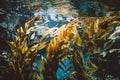 Underwater view of green plants