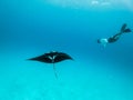 Underwater view of hovering Giant oceanic manta ray, Manta Birostris , and man free diving in blue ocean. Watching Royalty Free Stock Photo