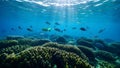 Underwater view in illustrator Royalty Free Stock Photo