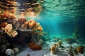 underwater view of oysters filtering water