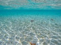 Underwater view in perfect clear ocean water Royalty Free Stock Photo