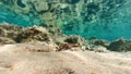 Underwater view of red starfish on the sand Royalty Free Stock Photo