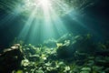 Underwater View of Rock and Plants, A Serene Subaquatic Landscape, Underwater sunlight through the water surface seen from a rocky