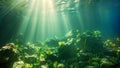 Underwater View of Rock and Plants, A Serene Subaquatic Landscape, Underwater sunlight through the water surface seen from a rocky