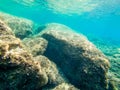 Underwater view of rocks and clear water in Sardinia Royalty Free Stock Photo