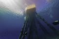 Underwater view of a saltwater pier with scuba divers swimming