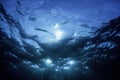 Underwater View Sea Surface Royalty Free Stock Photo