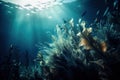 underwater view of seaweed and seaweed in blue water with sunlight shining through the water\'s bubbl