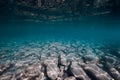 Underwater view with stones bottom in turquoise water