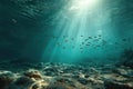 Underwater Sunbeams Over a Rocky Seabed with a School of Fish Royalty Free Stock Photo