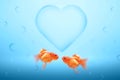 Underwater view with two goldfish in love and heart symbol in the water