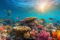 Underwater View with Various Types of Fish Corals Reef and Diversity of Marine Life Royalty Free Stock Photo