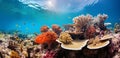 Underwater view of a vibrant coral reef ecosystem, AI-generated.