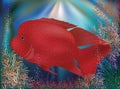 Underwater wallpaper with red tropic fish