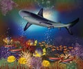 Underwater wallpaper with shark