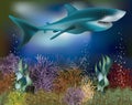 Underwater wallpaper with Shark, vector