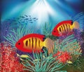 Underwater wallpaper with tropical fish