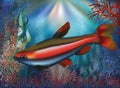 Underwater wallpaper tropical fish Royalty Free Stock Photo