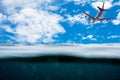 Underwater wave surface with airplane on sky