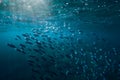 Underwater wild world with tuna fishes and sun ray